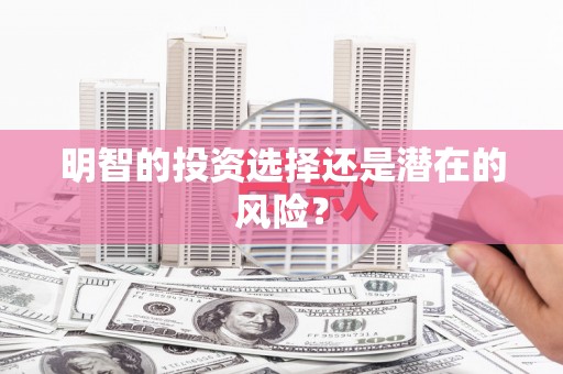 马龙明智的投资选择还是潜在的风险？