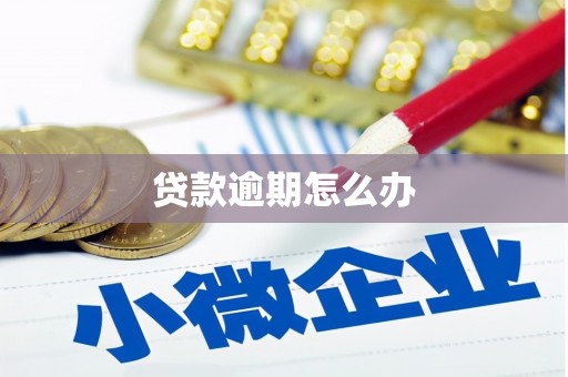 马龙贷款逾期怎么办