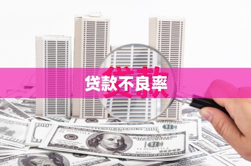 马龙贷款不良率