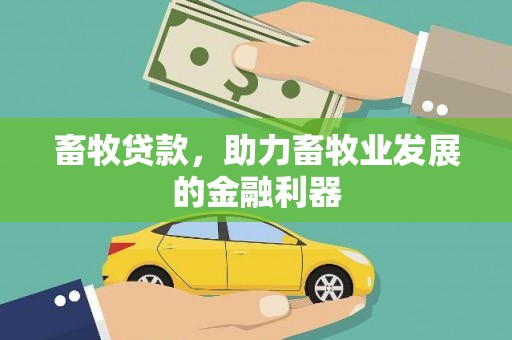 马龙畜牧贷款，助力畜牧业发展的金融利器