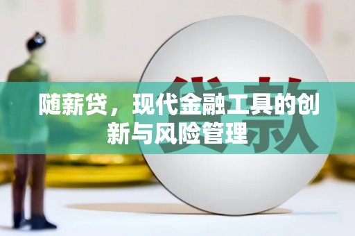 马龙随薪贷，现代金融工具的创新与风险管理