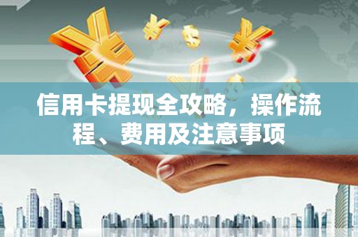 马龙信用卡提现全攻略，操作流程、费用及注意事项