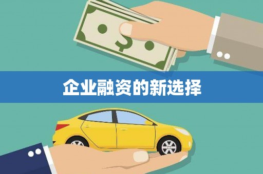 马龙企业融资的新选择