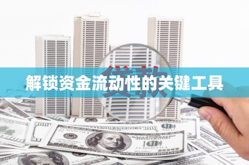 马龙解锁资金流动性的关键工具