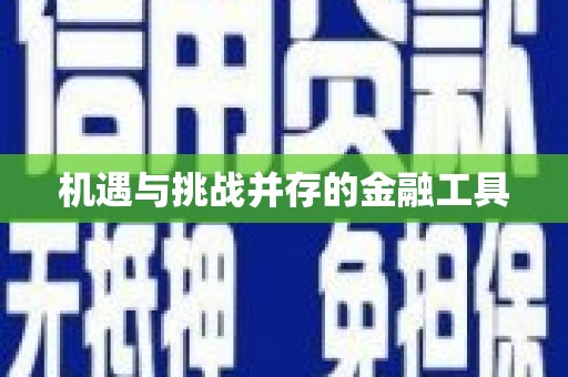 马龙机遇与挑战并存的金融工具