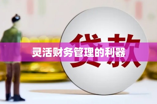 马龙灵活财务管理的利器