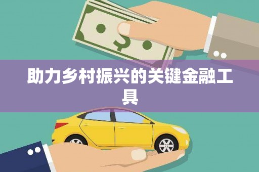 马龙助力乡村振兴的关键金融工具