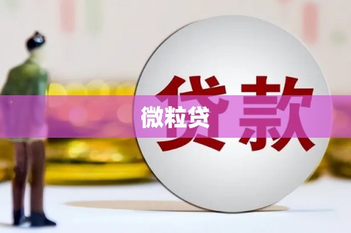 马龙微粒贷