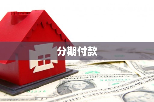 马龙分期付款