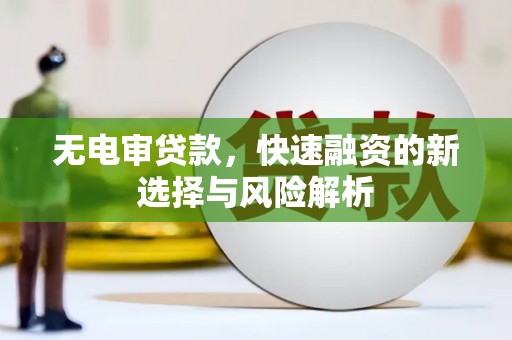 马龙无电审贷款，快速融资的新选择与风险解析