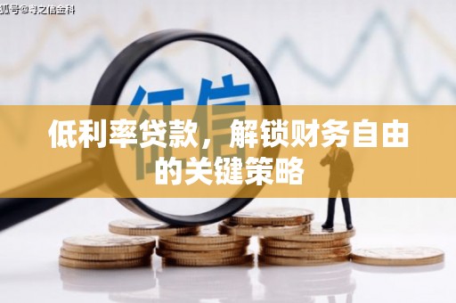 马龙低利率贷款，解锁财务自由的关键策略