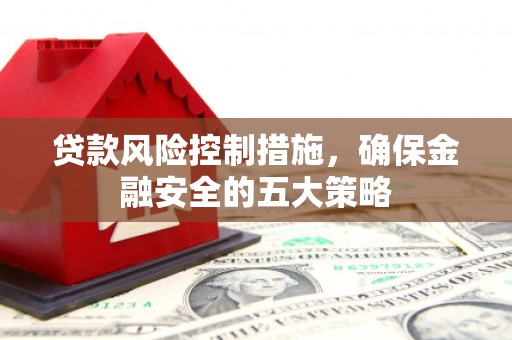 马龙贷款风险控制措施，确保金融安全的五大策略