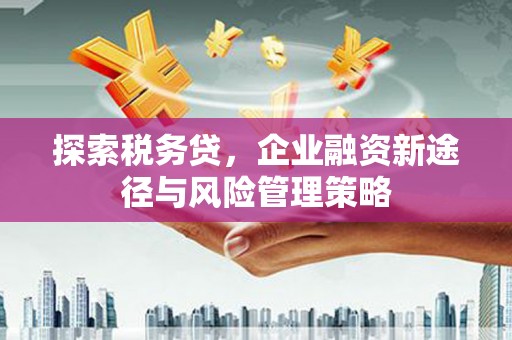 马龙探索税务贷，企业融资新途径与风险管理策略