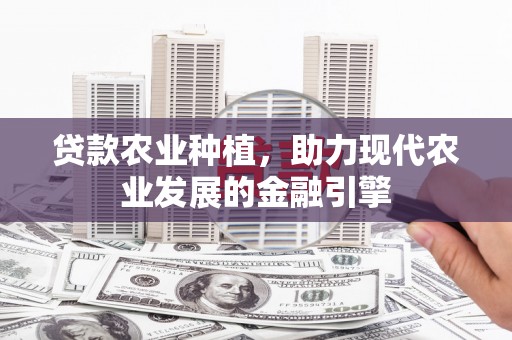 马龙贷款农业种植，助力现代农业发展的金融引擎