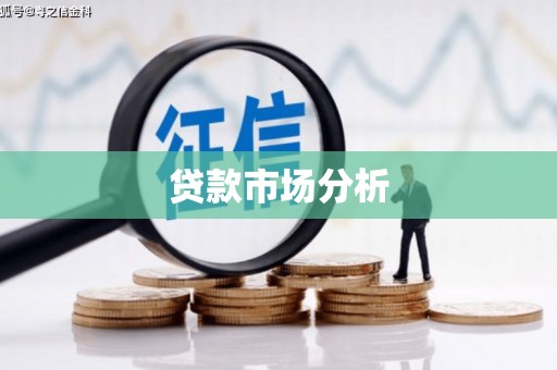 马龙贷款市场分析