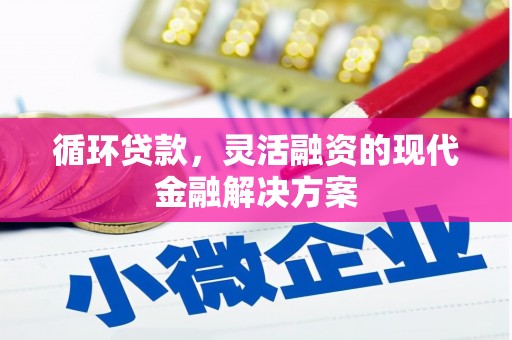 马龙循环贷款，灵活融资的现代金融解决方案