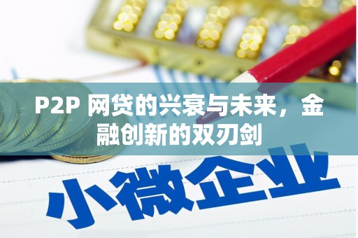 马龙P2P 网贷的兴衰与未来，金融创新的双刃剑