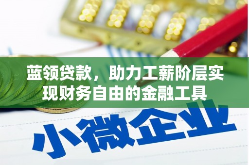 马龙蓝领贷款，助力工薪阶层实现财务自由的金融工具