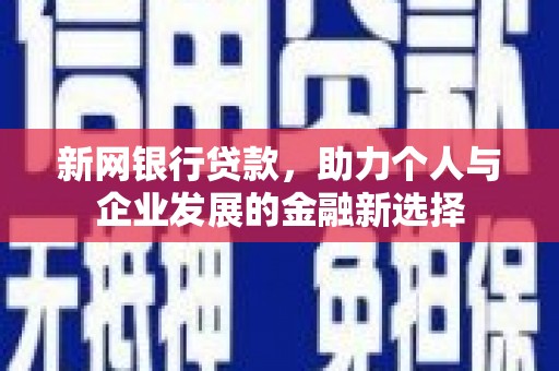 马龙新网银行贷款，助力个人与企业发展的金融新选择