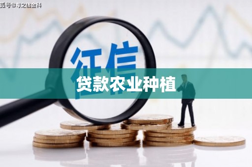 马龙贷款农业种植