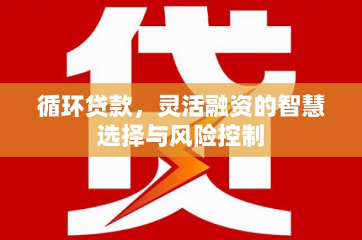 马龙循环贷款，灵活融资的智慧选择与风险控制