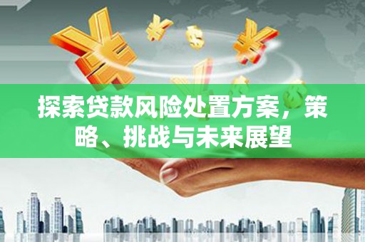 马龙探索贷款风险处置方案，策略、挑战与未来展望