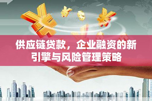 马龙供应链贷款，企业融资的新引擎与风险管理策略