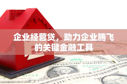 马龙企业经营贷，助力企业腾飞的关键金融工具