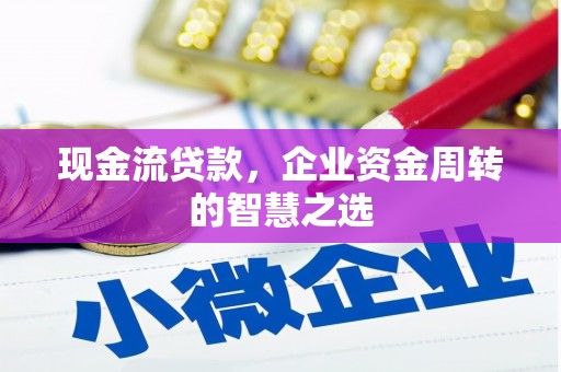 马龙现金流贷款，企业资金周转的智慧之选