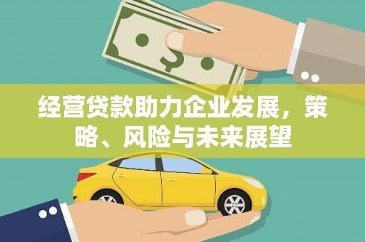 马龙经营贷款助力企业发展，策略、风险与未来展望
