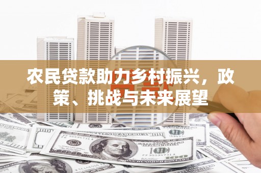 马龙农民贷款助力乡村振兴，政策、挑战与未来展望