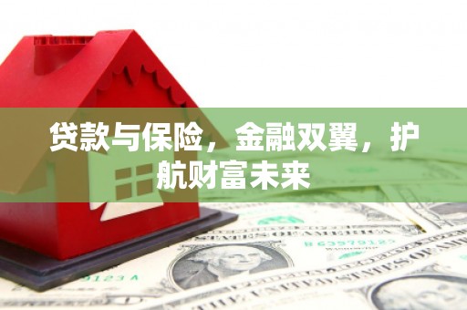 马龙贷款与保险，金融双翼，护航财富未来