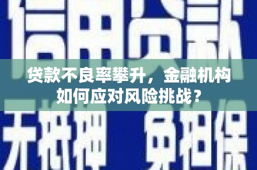 马龙贷款不良率攀升，金融机构如何应对风险挑战？