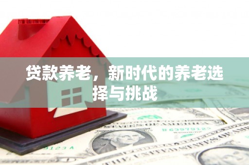 马龙贷款养老，新时代的养老选择与挑战