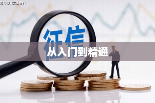 马龙从入门到精通