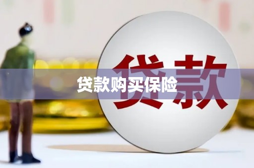 马龙贷款购买保险