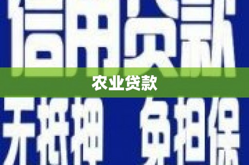 马龙农业贷款