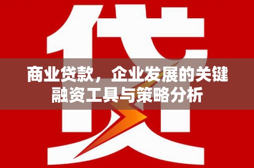 马龙商业贷款，企业发展的关键融资工具与策略分析