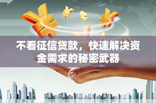 马龙不看征信贷款，快速解决资金需求的秘密武器