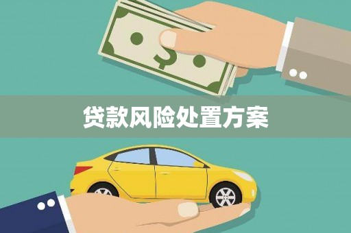 马龙贷款风险处置方案