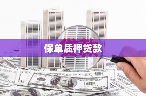 马龙保单质押贷款