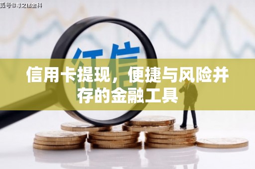 马龙信用卡提现，便捷与风险并存的金融工具