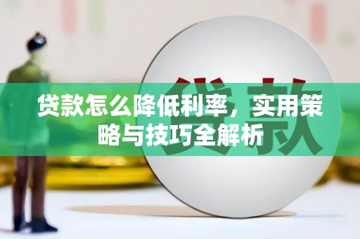 马龙贷款怎么降低利率，实用策略与技巧全解析