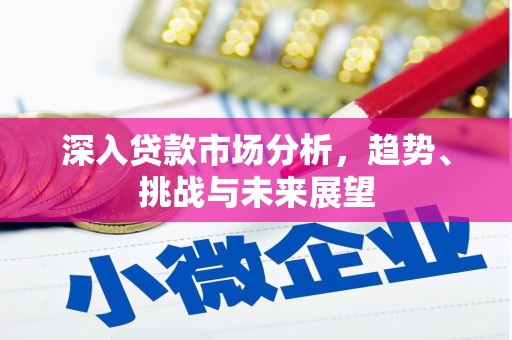 马龙深入贷款市场分析，趋势、挑战与未来展望