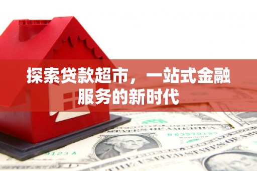 马龙探索贷款超市，一站式金融服务的新时代