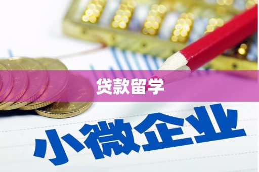 马龙贷款留学
