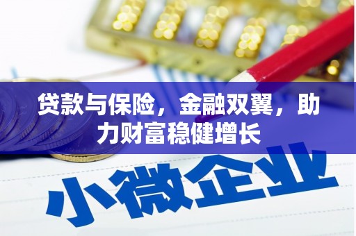 马龙贷款与保险，金融双翼，助力财富稳健增长