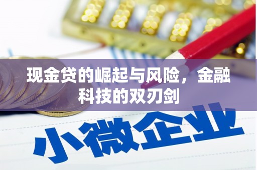 马龙现金贷的崛起与风险，金融科技的双刃剑
