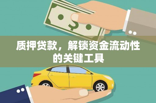 马龙质押贷款，解锁资金流动性的关键工具
