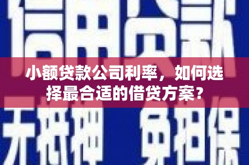 马龙小额贷款公司利率，如何选择最合适的借贷方案？